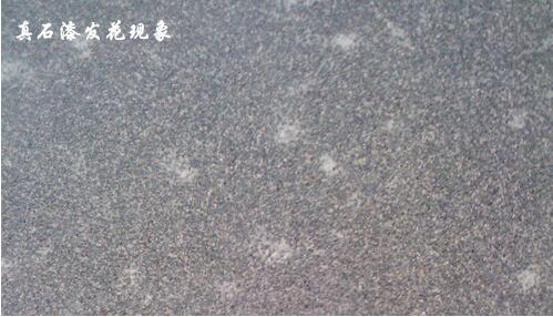 重庆成人蜜桃视频在线观看真石漆发花如何处理